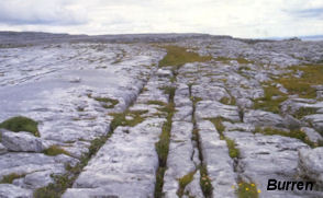 Burren